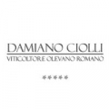 Damiano Ciolli