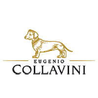 Collavini